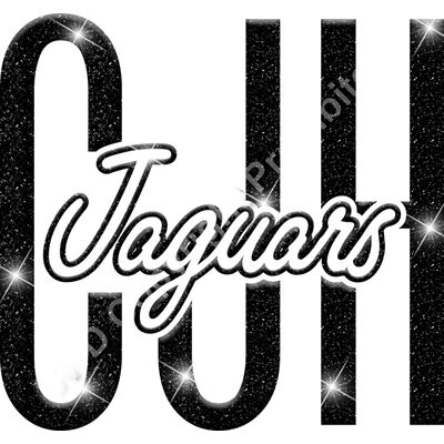 GLT95 BLACK GLITTER Thumbnail